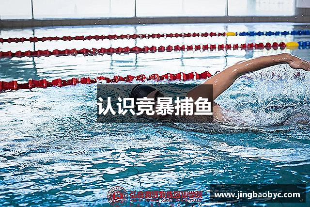 认识竞暴捕鱼
